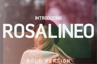 Rosalineo Bold: A Modern Sans Serif Font Review