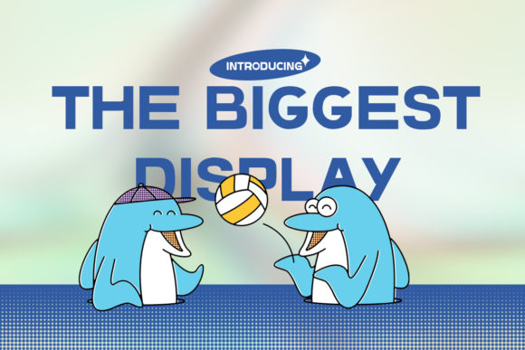 The Biggest Display: A Designer's Honest Review